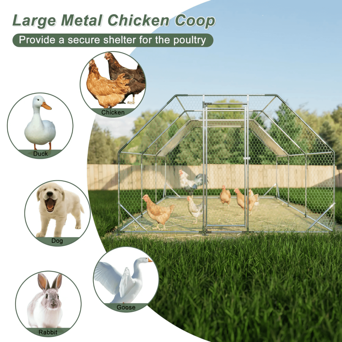 10x20 ft. Galvanized Large Metal Walk - In Chicken Coop - Durable Poultry Run with Waterproof Tarp, Secure Lockable Doors, and UV Protection - Small Pet Homes