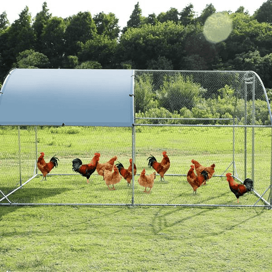 Large Chicken Coop and Run – Durable Metal Frame with Waterproof Cover and Spacious Design - Small Pet Homes