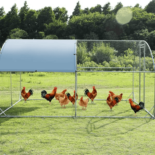 Large Chicken Coop and Run – Durable Metal Frame with Waterproof Cover and Spacious Design - Small Pet Homes
