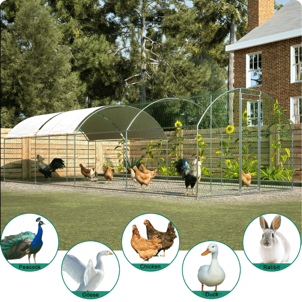 Large Metal Chicken Coop with Waterproof Roof, Lockable & Durable Construction, 258.2 sq ft - Small Pet Homes